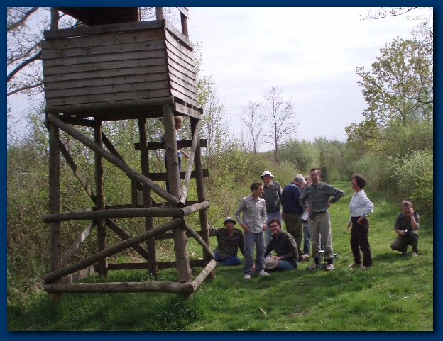 600x456 pixels (147K)